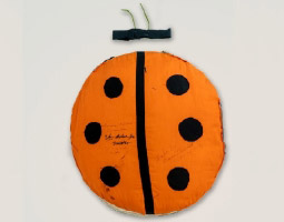 Collection close-up: ladybug costume